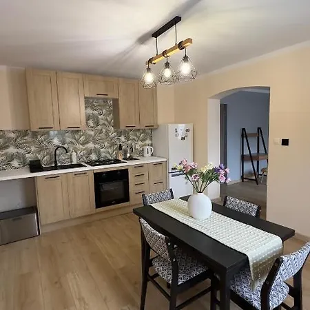 Sasanka Lz 公寓 Lądek-Zdrój