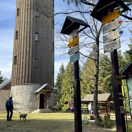 Sasanka Lz Lądek-Zdrój