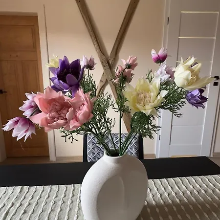 Sasanka Lz 公寓 Lądek-Zdrój