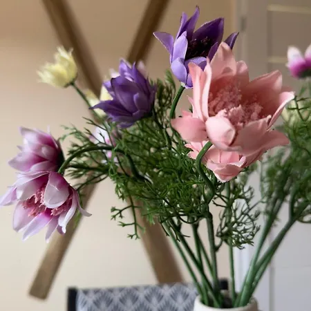 شقة Sasanka Lz Lądek-Zdrój