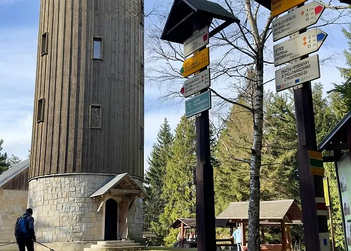 Sasanka Lz Lądek-Zdrój