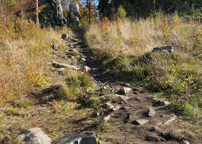 Apartmán Sasanka Lz Lądek-Zdrój