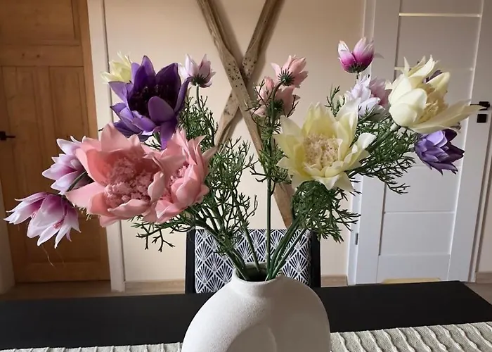 Sasanka Lz Apartmán Lądek-Zdrój