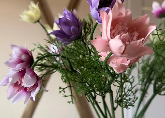 Apartmán Sasanka Lz Lądek-Zdrój